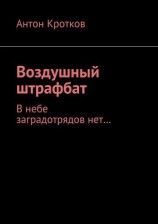 читать Воздушный штрафбат