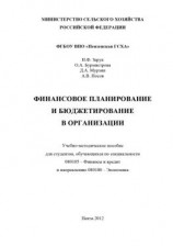читать Финансовое планирование и бюджетирование в организации