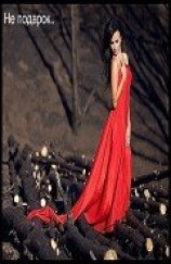 читать Не подарок