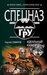 читать Идеальный калибр