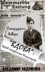 читать «Вдова»: архив профессора Пильчикова
