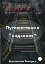 читать Путешествие в «подземку»