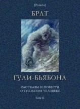 читать Брат гули-бьябона