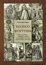 читать Колесо Фортуны. Репрезентация человека и мира в английской культуре начала Нового века