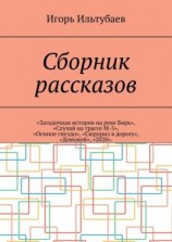 читать Сборник рассказов. «Загадочная история на реке Бирь», «Случай на трассе М-5», «Осиное гнездо», «Сюрприз в дорогу», «Домовой», «2020»