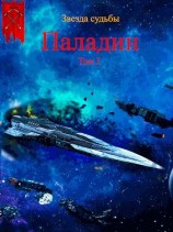 читать Паладин. Том 1