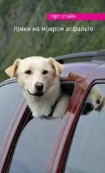 читать Гонки на мокром асфальте