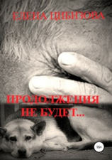 читать Продолжения не будет