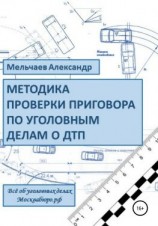 читать Методика проверки приговора по уголовному делу о ДТП