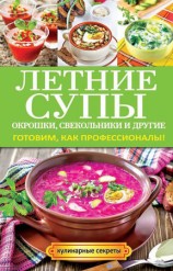 читать Летние супы, окрошки, свекольники и другие. Готовим, как профессионалы!