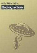 читать Воссоединение