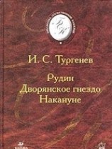 читать Рудин