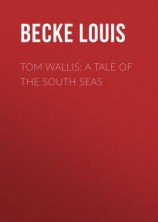 читать Tom Wallis: A Tale of the South Seas