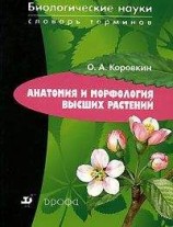 читать Анатомия и морфология высших растений