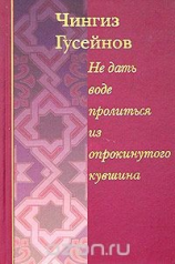 читать Не дать воде пролиться из опрокинутого кувшина. Кораническое повествование о пророке Мухаммеде