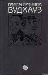 читать Том 10. Дживс и Вустер