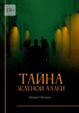 читать Тайна Зеленой аллеи. Искра души