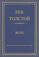 читать Юность. Полное собрание сочинений в 90 томах. Том 2.
