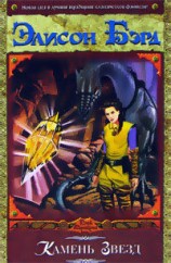 читать Камень звёзд