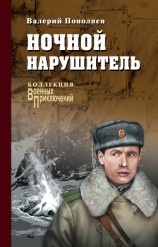 читать Ночной нарушитель (сборник)