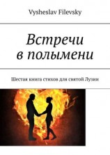 читать Встречи в полымени. Шестая книга стихов для святой Лузии