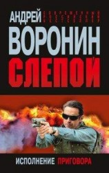 читать Слепой. Исполнение приговора