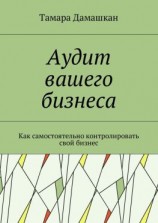 читать Аудит вашего бизнеса. Как самостоятельно контролировать свой бизнес