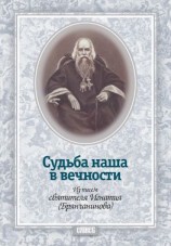 читать Судьба наша в вечности. Из писем святителя Игнатия (Брянчанинова)