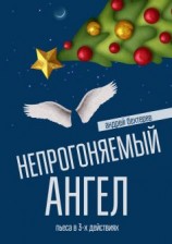 читать Непрогоняемый ангел