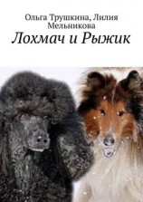 читать Лохмач и Рыжик