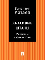 читать Красивые штаны