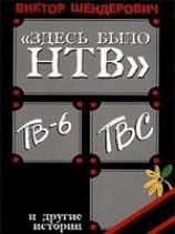 читать Здесь было НТВ, ТВ-6, ТВС и другие истории