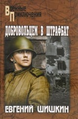 читать Добровольцем в штрафбат