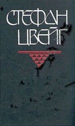 читать Двадцать четыре часа из жизни женщины