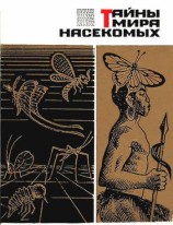 читать Тайны мира насекомых