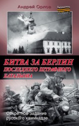 читать Битва за Берлин последнего штрафного батальона