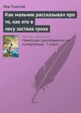читать Как мальчик рассказывал про то, как его в лесу застала гроза