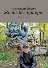 читать Жизнь без прикрас. Рассказы и стихи