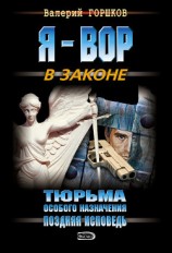 читать Поздняя исповедь