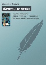 читать Железные четки
