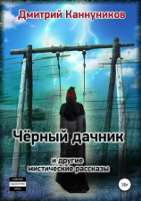 читать Чёрный дачник и другие мистические рассказы