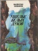 читать Четвертое измерение