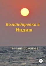 читать Командировка в Индию