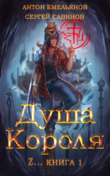 читать ZZZZZZZ: Душа короля. Книга 1