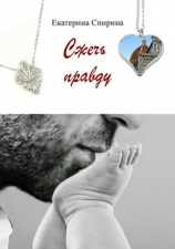 читать Сжечь правду
