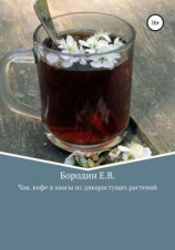 читать Чаи, кофе и квасы из дикорастущих растений
