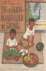 читать Тун и Ньюн - мальчишки из Бирмы