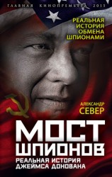 читать Мост шпионов. Реальная история Джеймса Донована