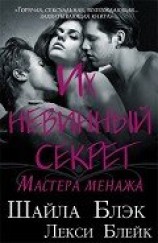 читать Их невинный секрет (отредактированная) (ЛП)