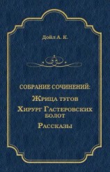читать Жрица тугов. Хирург с Гастеровских болот. Рассказы (сборник)